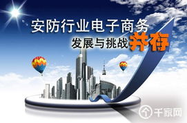 安防行業(yè)電子商務(wù)發(fā)展與挑戰(zhàn)并存 計(jì)算機(jī)技術(shù)的推動(dòng)與阻礙